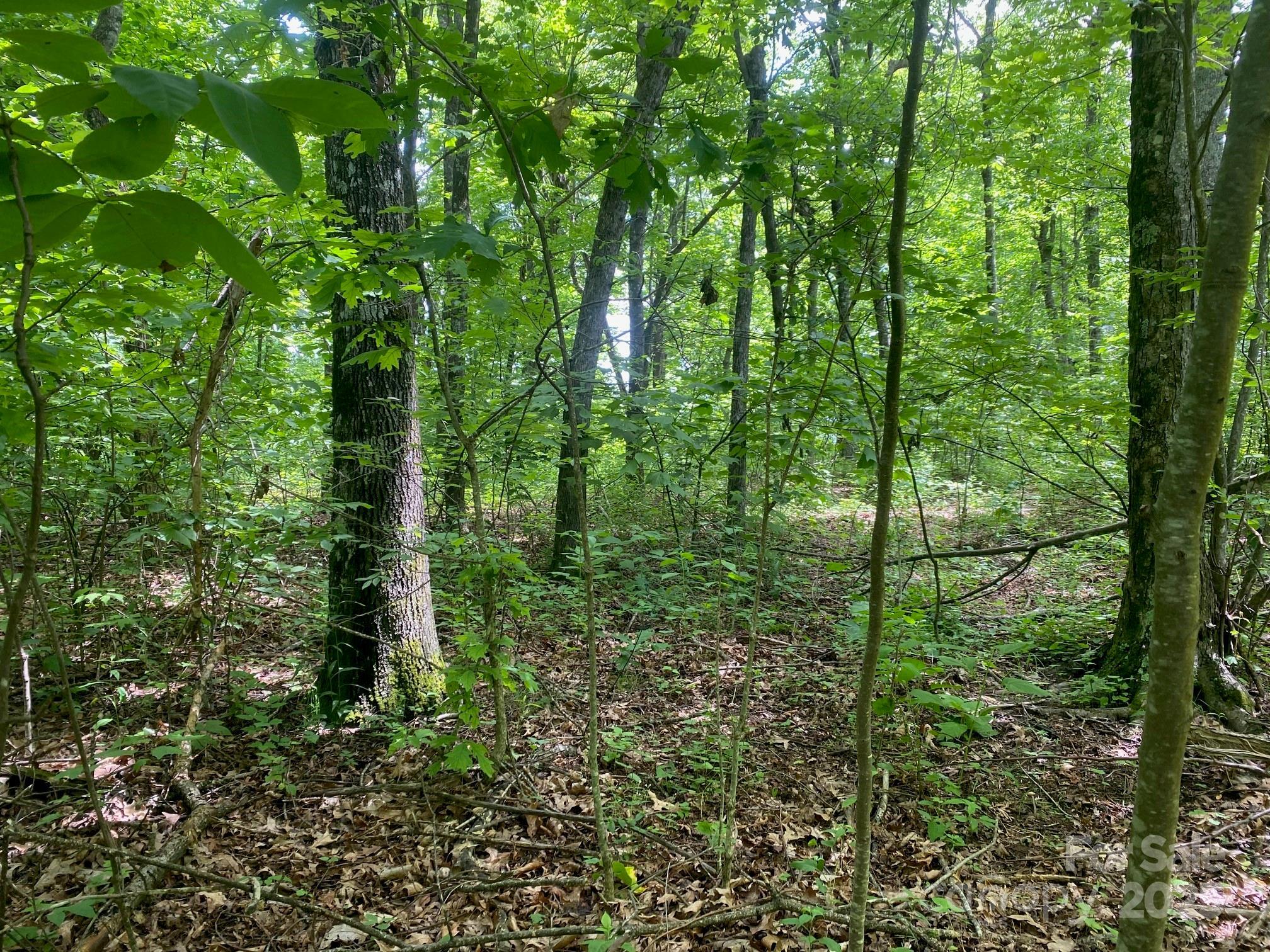 Image 3 Image 3