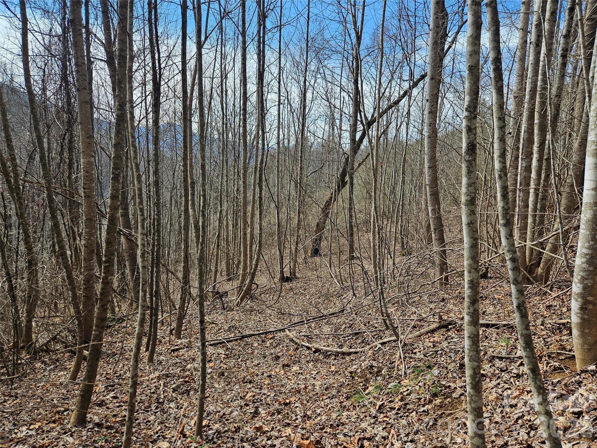 Image 2 Image 2