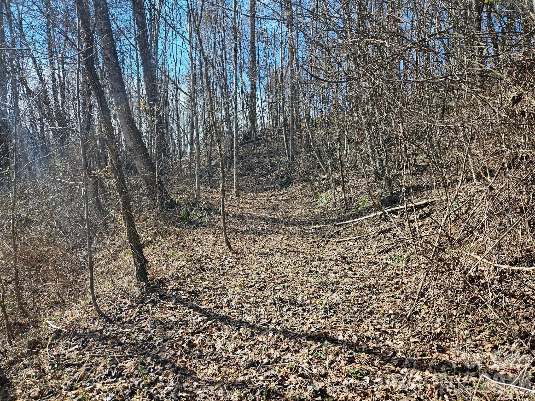 Image 4 Image 4