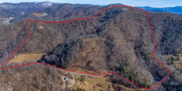 Image 4 Image 4