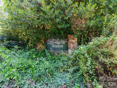00 Rhododendron Drive