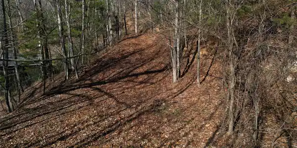 Image 4 Image 4