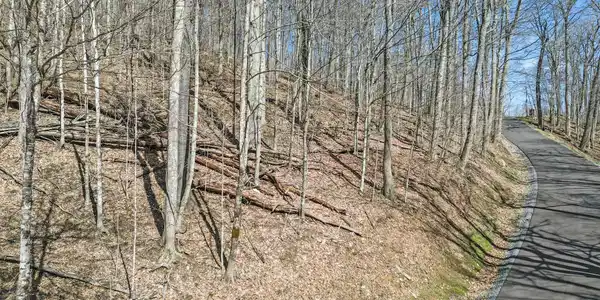 Image 3 Image 3