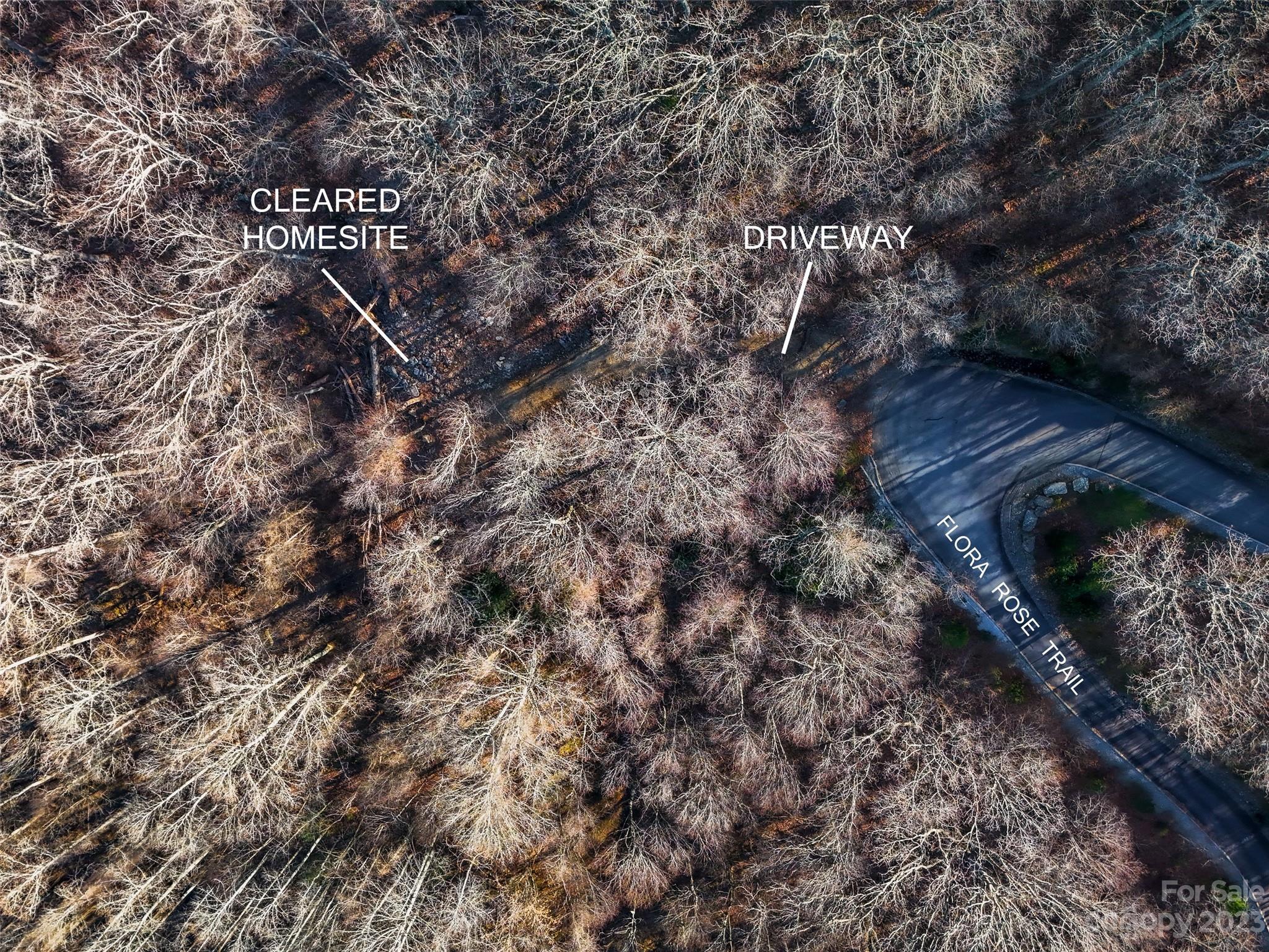 Image 4 Image 4