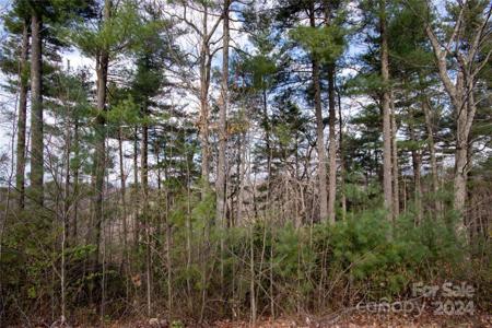 Lot# 172 Autumn Ridge