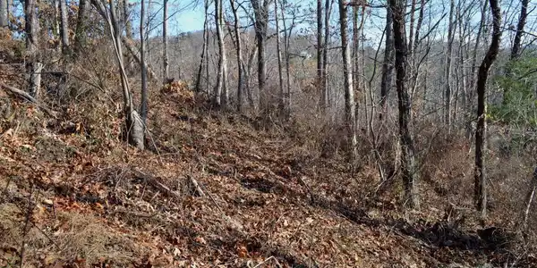 377 Elk Mountain Scenic Highway