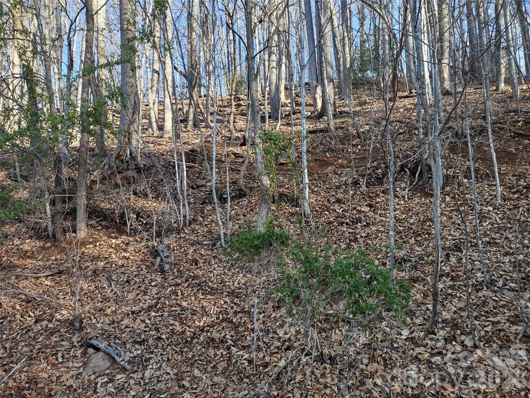 Image 3 Image 3