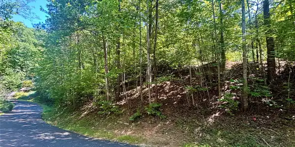 Lot 77 Winesap Boulevard