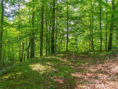 Lot 8 Locust Rough Mountain Road