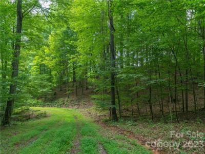 Lot 11 Locust Rough Mountain Road
