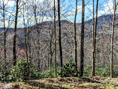 0 Dodgen Ridge Road