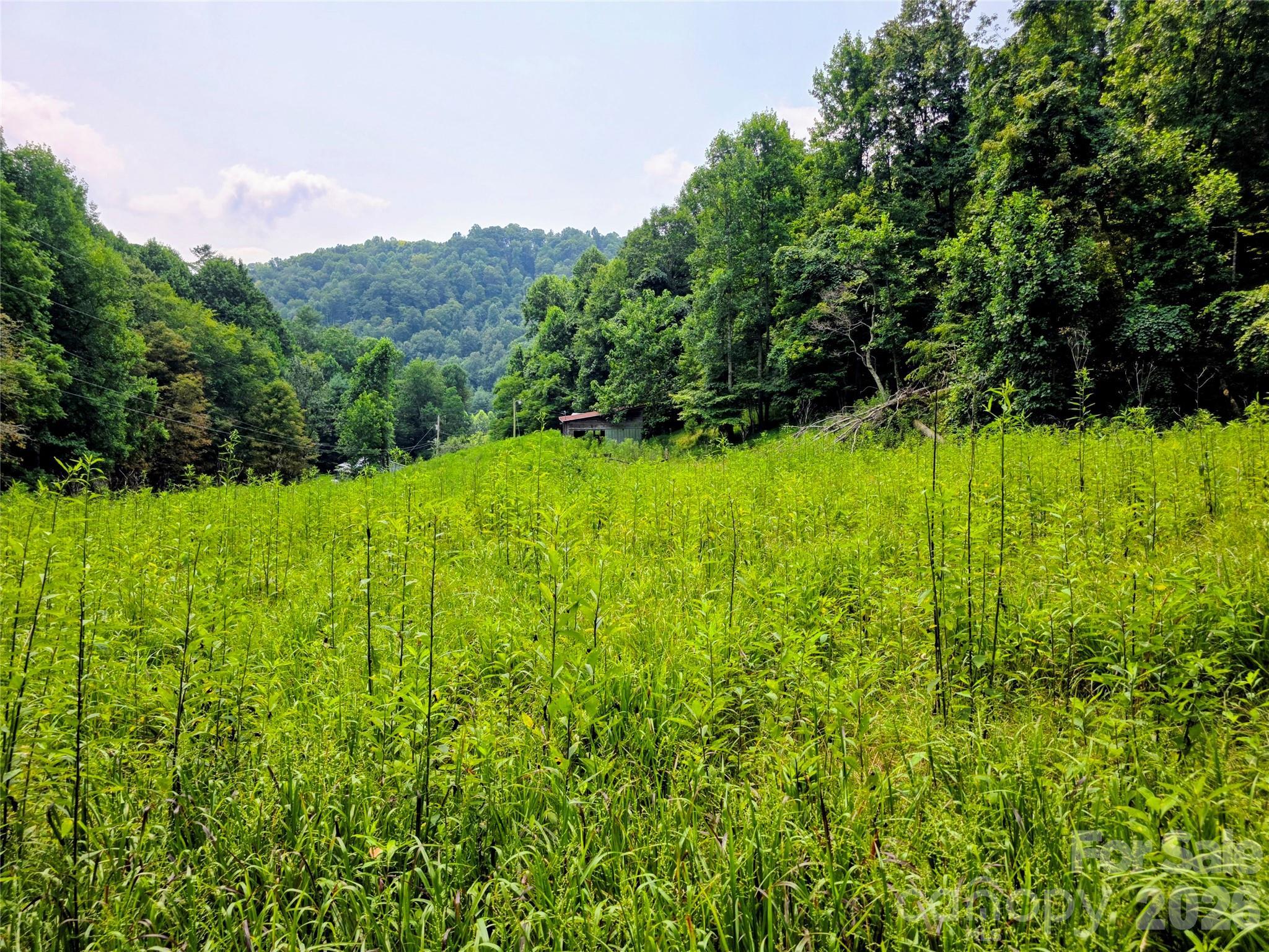 Image 1 Image 1