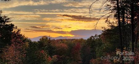 1600 Pisgah Preserve Drive
