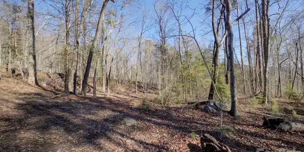 Image 4 Image 4