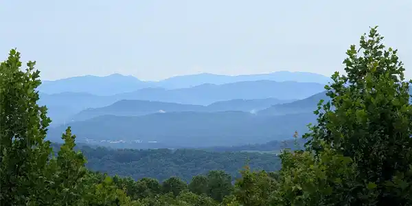 Image 3 Image 3