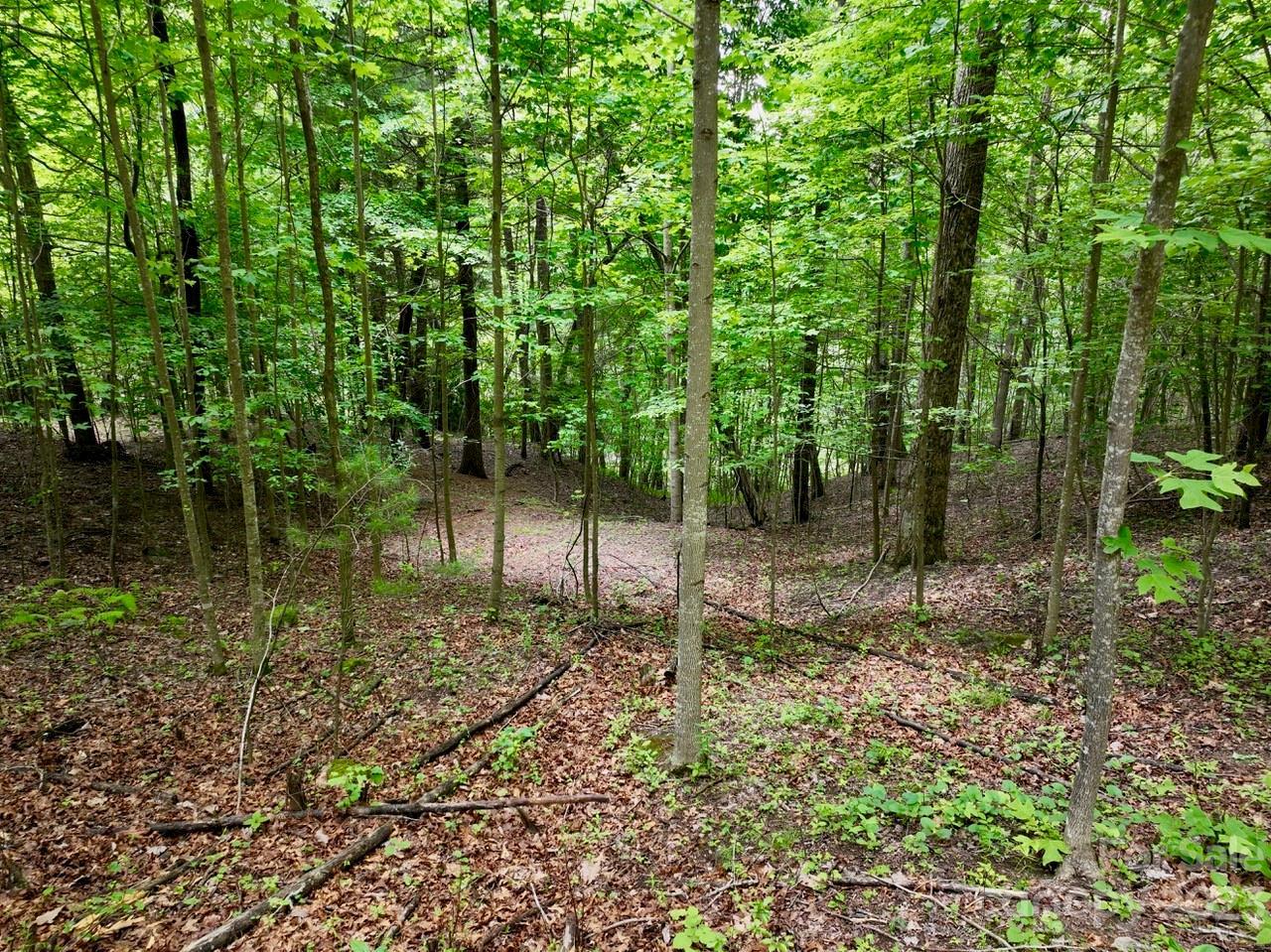 Image 4 Image 4