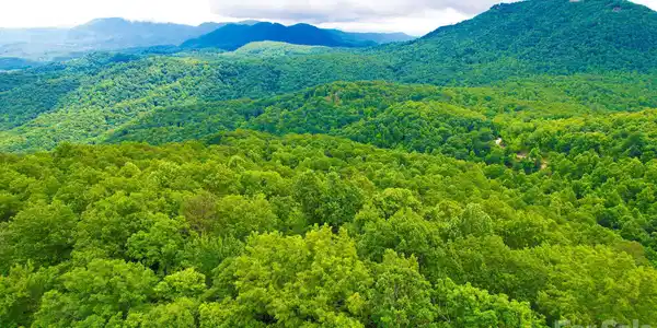 215 Laurel Mountain Trail