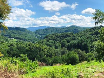 866 Georges Gap Road