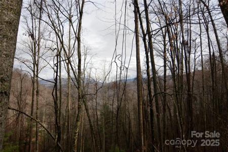 00 Jacks Knob Road