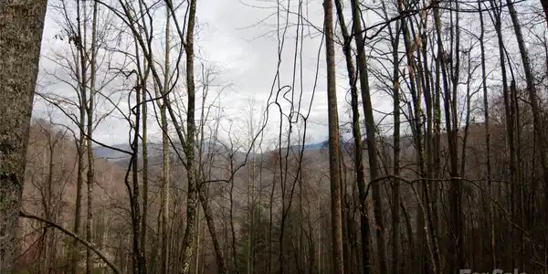 00 Jacks Knob Road