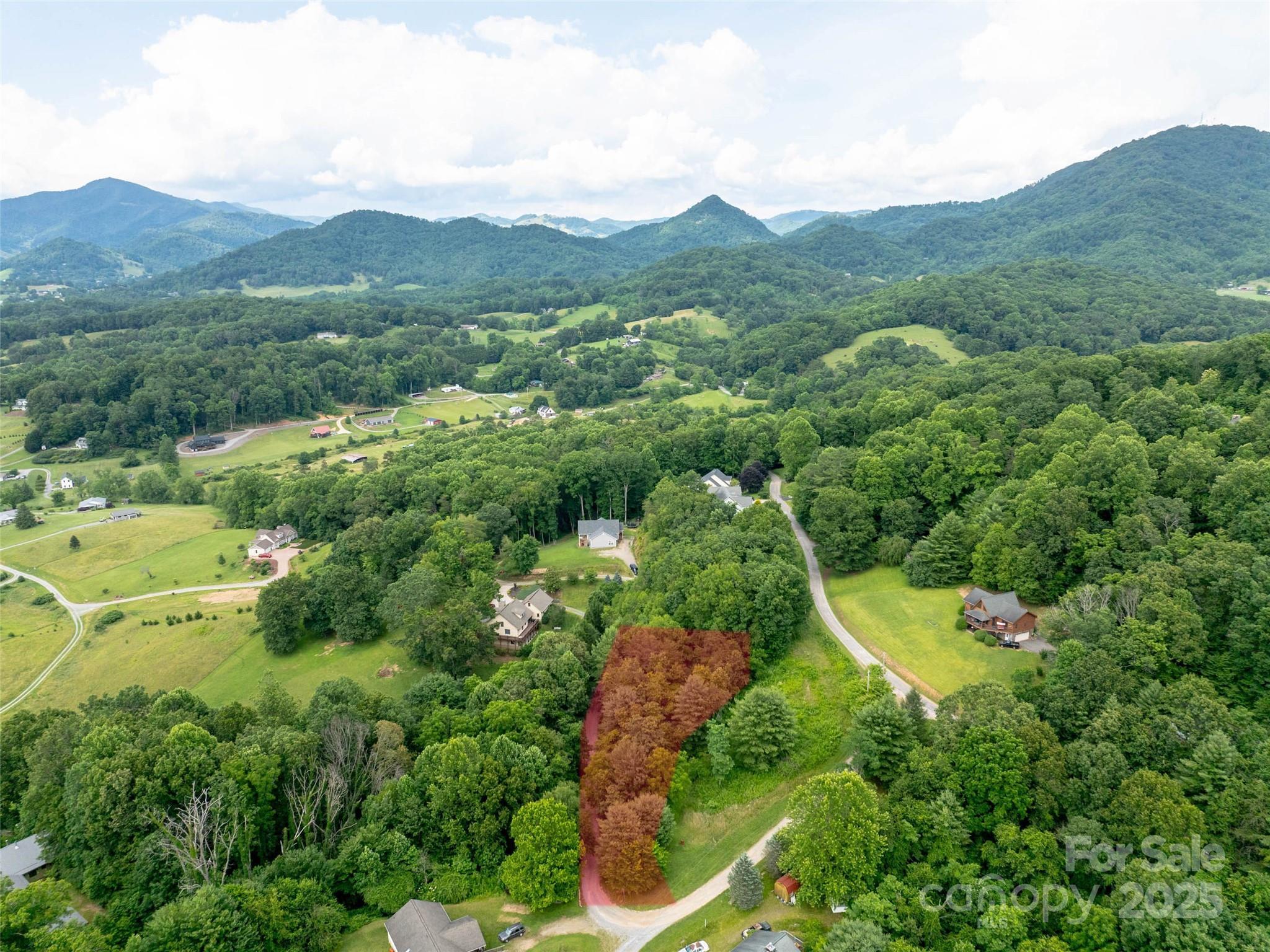 Image 1 Image 1