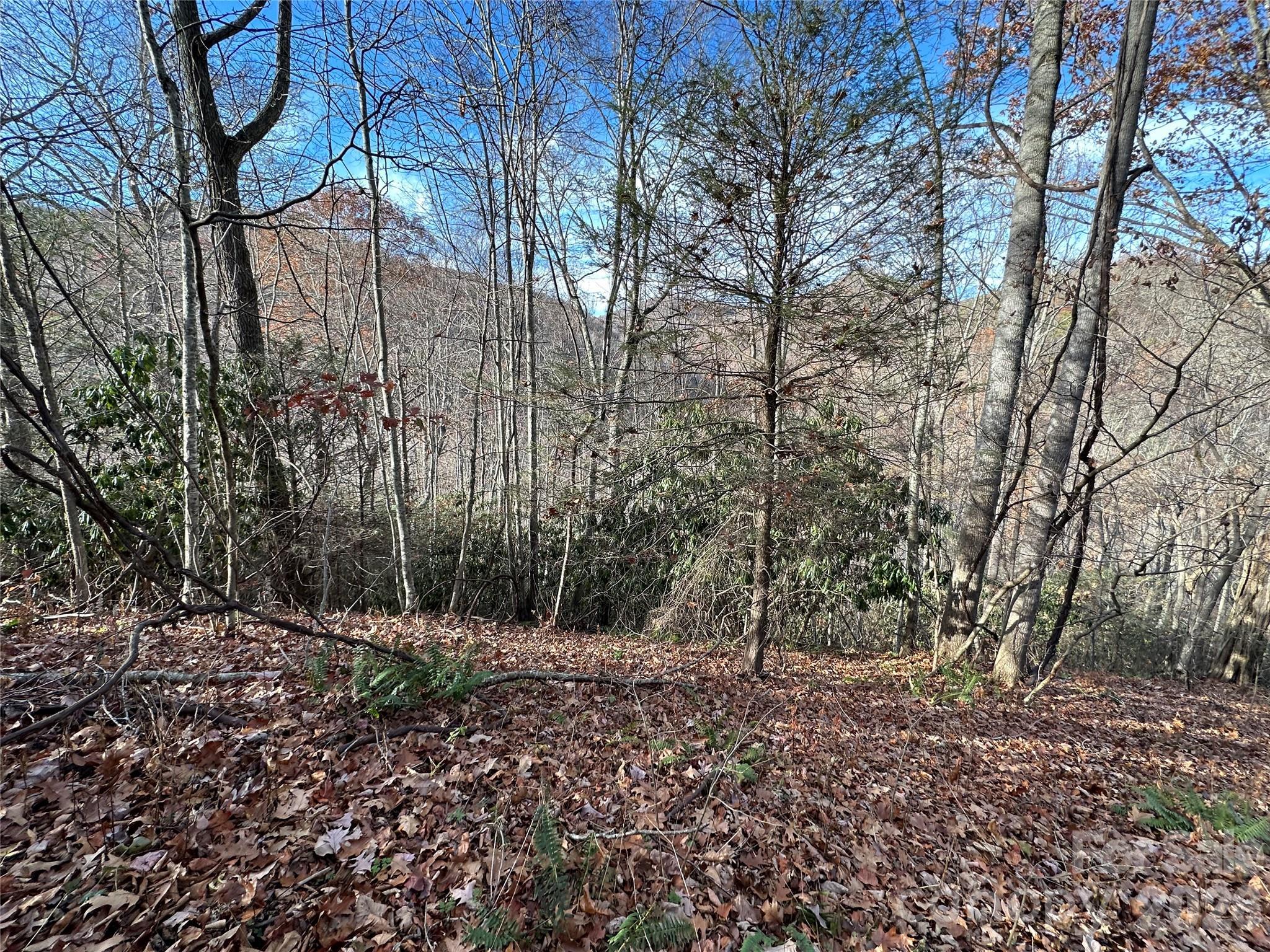 Image 3 Image 3