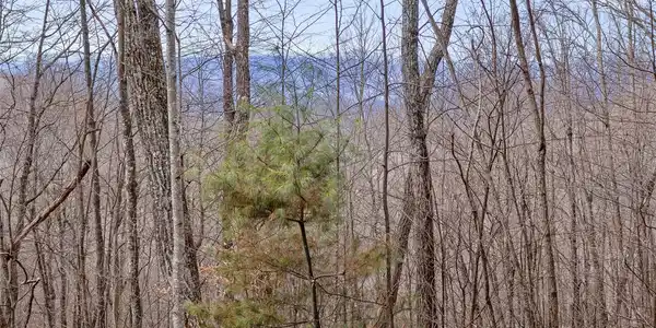 Image 4 Image 4