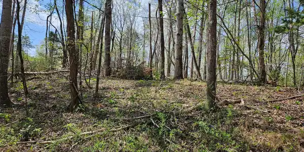 Image 4 Image 4