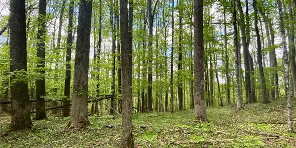 Image 3 Image 3