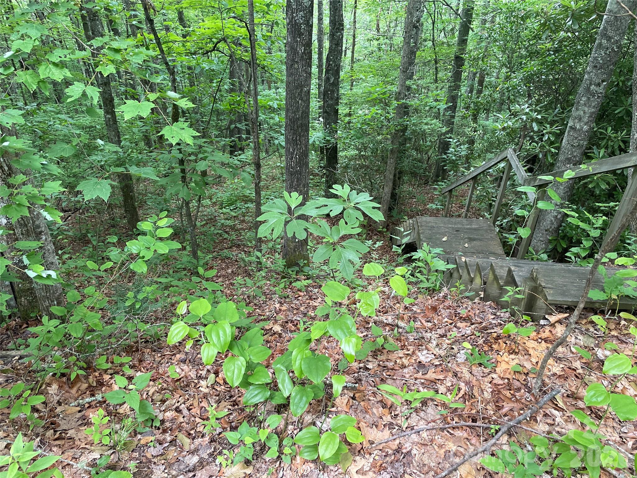 Image 3 Image 3
