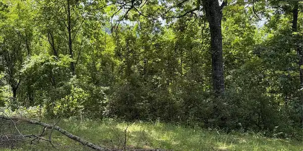 Image 4 Image 4