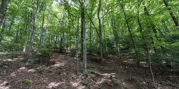 Image 3 Image 3