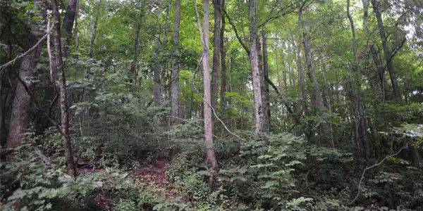 Image 3 Image 3