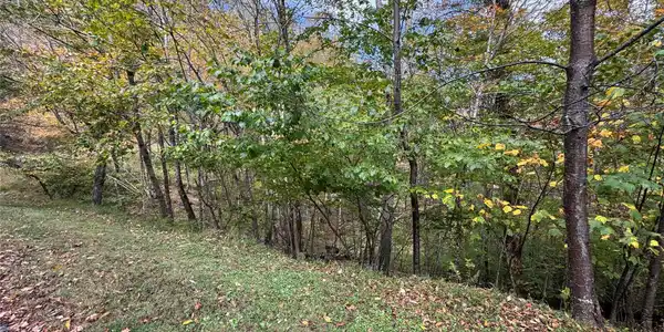 92 Goldenleaf Drive