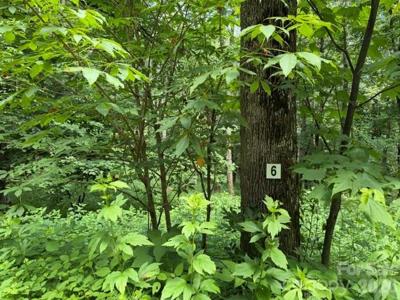 Lot 6 Gadohi Trail