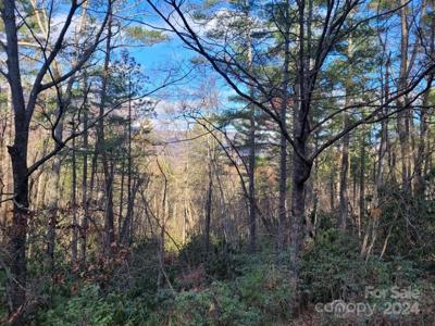 00 Deer Ridge Trail