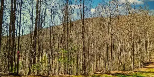 45 Ashewood Mountain Way
