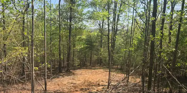 Lot 13 Back Hollow Drive