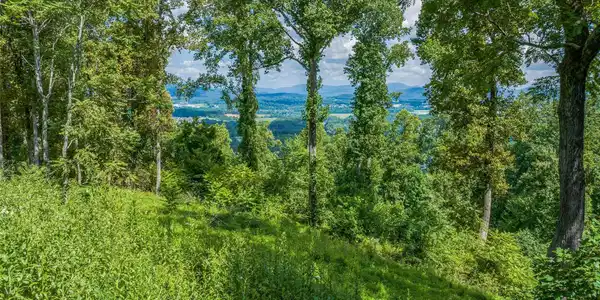 54 Split Rock Trail