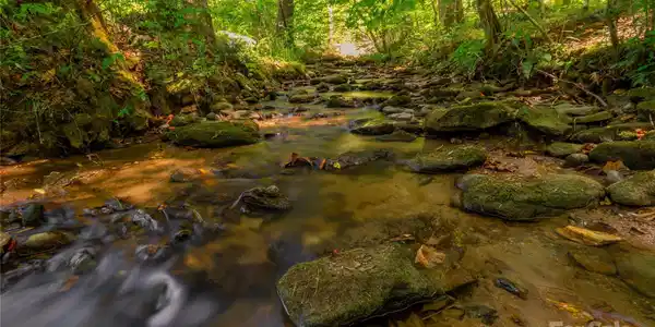 215 Martins Creek Road