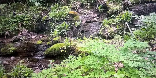 Image 3 Image 3
