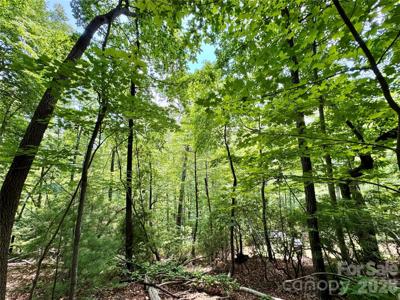 Lot 23 Bear Track Lane