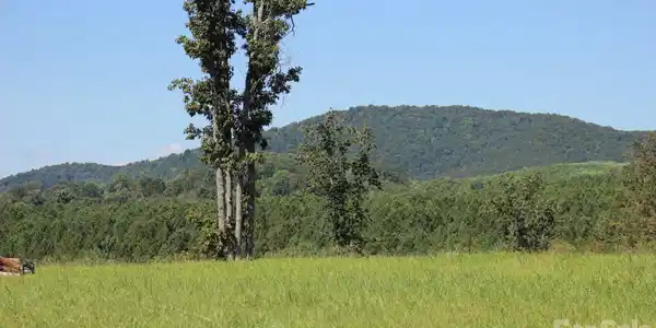 Image 4 Image 4