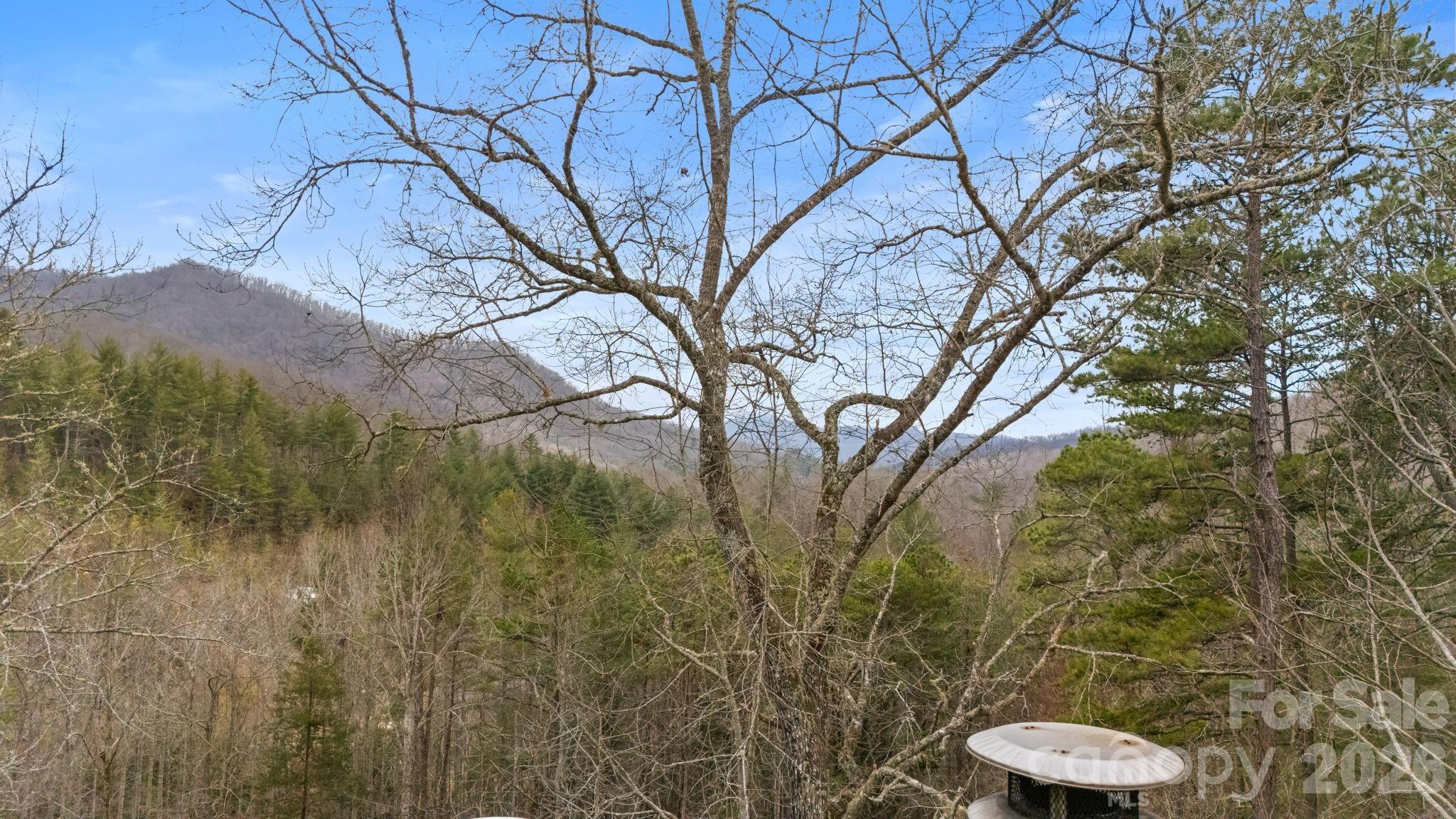 Image 4 Image 4