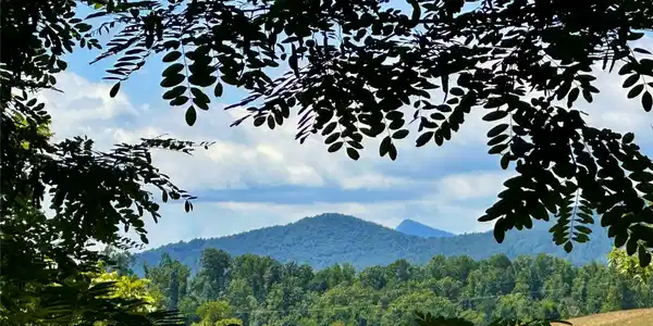2825 Harrell Hill Road