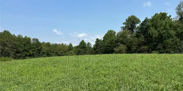 Image 4 Image 4