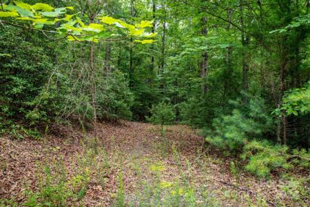 Lot# 11 Bridle Ridge Way