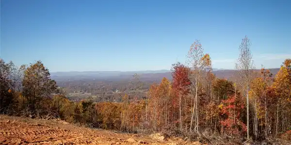Image 4 Image 4
