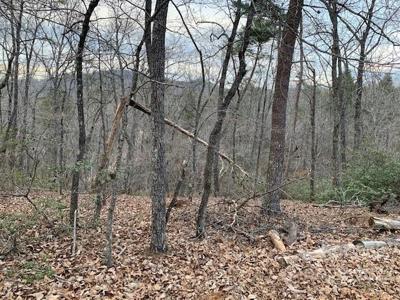 301 Otter Lane