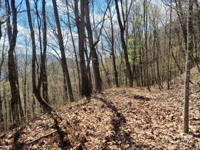 000 Skyline Drive